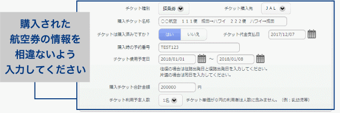 >購入された搭乗券の 情報を相違ないよう 入力してください